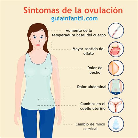 que significa ovular